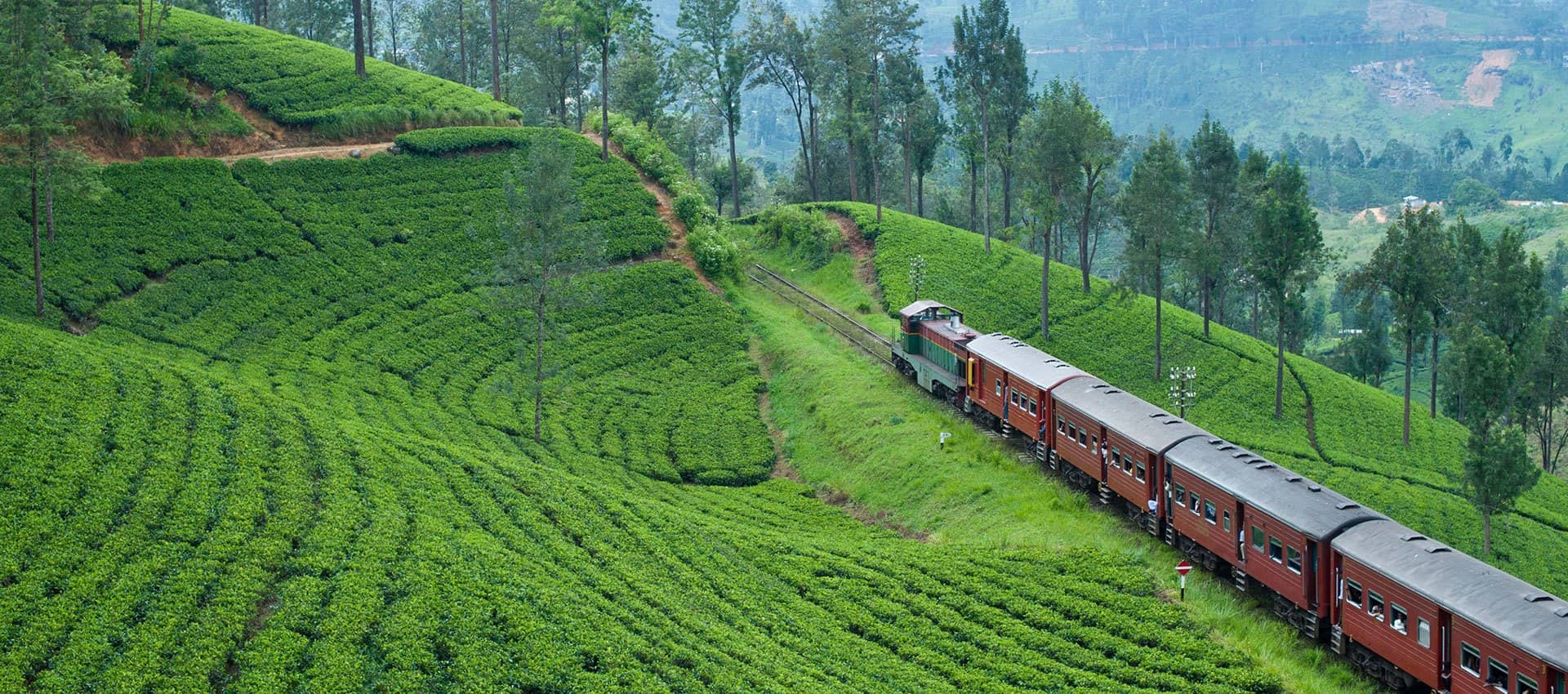 ரயில் சேவைகள் பாதிப்பு