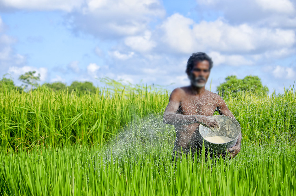 விவசாயிகளுக்கு உர மானியம் வழங்குவதில் எந்த தடையும் இல்லை