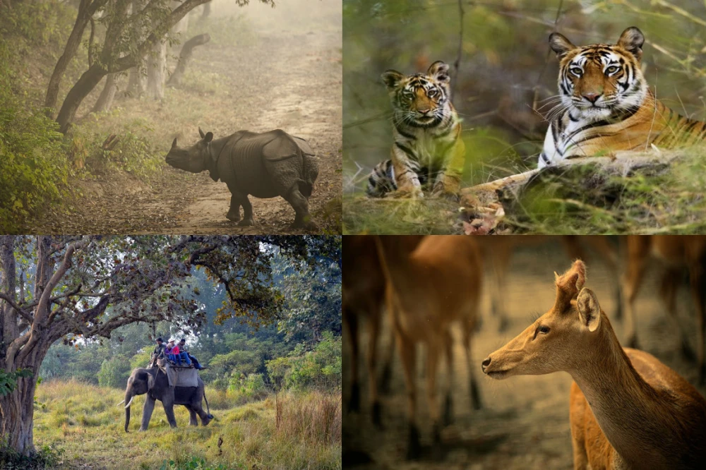 வனவிலங்குகளை கணக்கெடுப்பதற்கான விசேட செயல்பாட்டு அறை அறிமுகம்