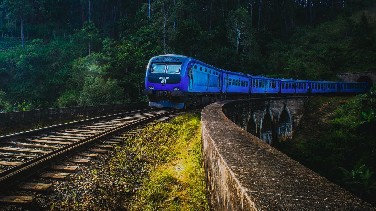 பாடசாலை விடுமுறை மற்றும் சிவனொளி பாத யாத்திரைக் காலம் என்பவற்றுக்காக விசேட புகையிரத சேவைத் திட்டம்