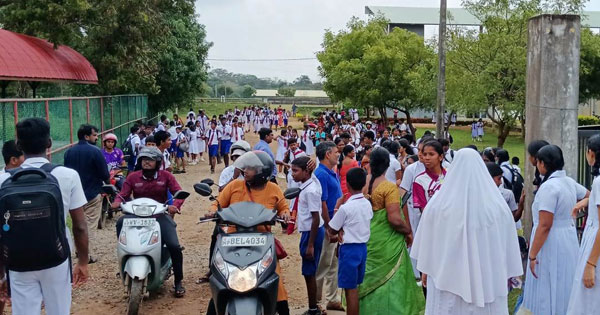 கிளிநொச்சி மத்திய மகா வித்தியாலயத்தில் குளவிக்கொட்டுக்கு இலக்காகி இரண்டு ஆசிரியர்கள் உட்பட 37 மாணவர்கள் வைத்தியசாலையில் அனுமதி