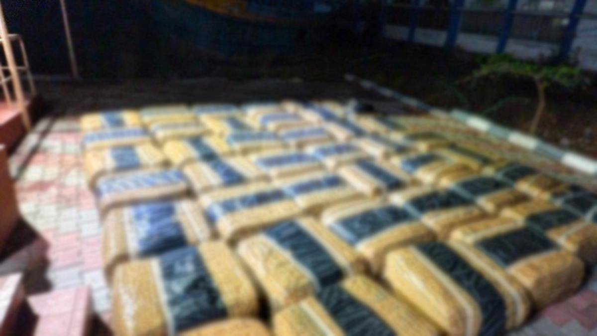 1,600 கிலோவுக்கும் மேற்பட்ட பீடி இலைகள் கைப்பற்றல்
