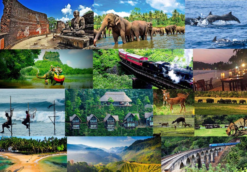 சுற்றுலா பயணிகளின் வருகை அதிகரிப்பு