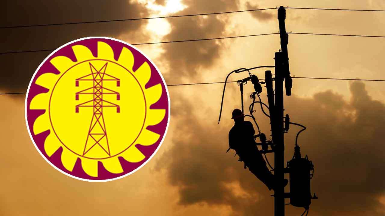 மின்சார வாரிய மறுசீரமைப்பு ; 3 நிறுவனங்களுக்கு தலைமை நிர்வாகிகள் நியமனம்