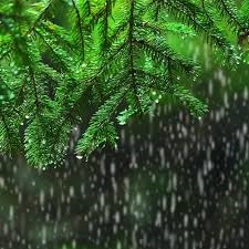சில இடங்களில் ஓரளவு பலத்த மழை