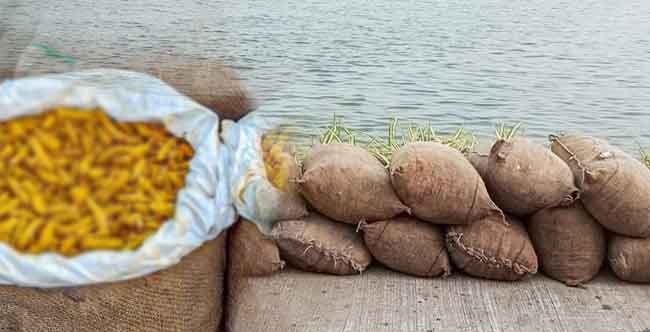 சட்டவிரோதமாகக் கடத்தி வரப்பட்டதாக சந்தேகிக்கப்படும் உலர்ந்த மஞ்சள் தொகை கடற்படையினரால் கைப்பற்றப்பட்டது