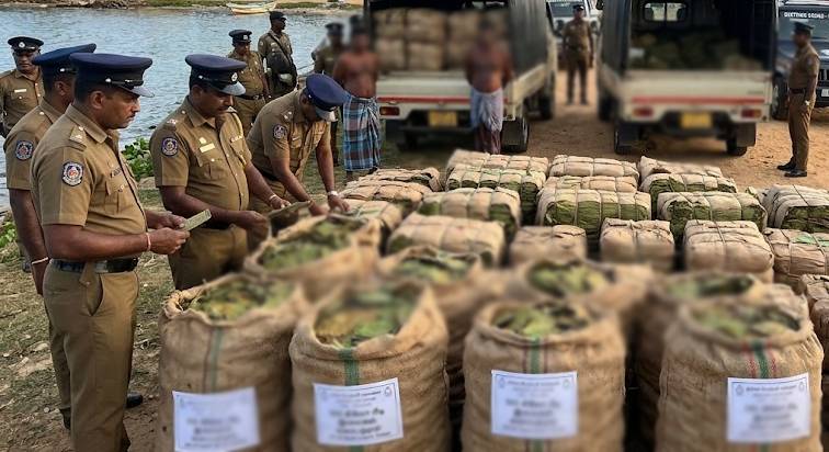 நீர்கொழும்பில் 550 கிலோ பீடி இலைகள் பறிமுதல் ; இருவர் கைது
