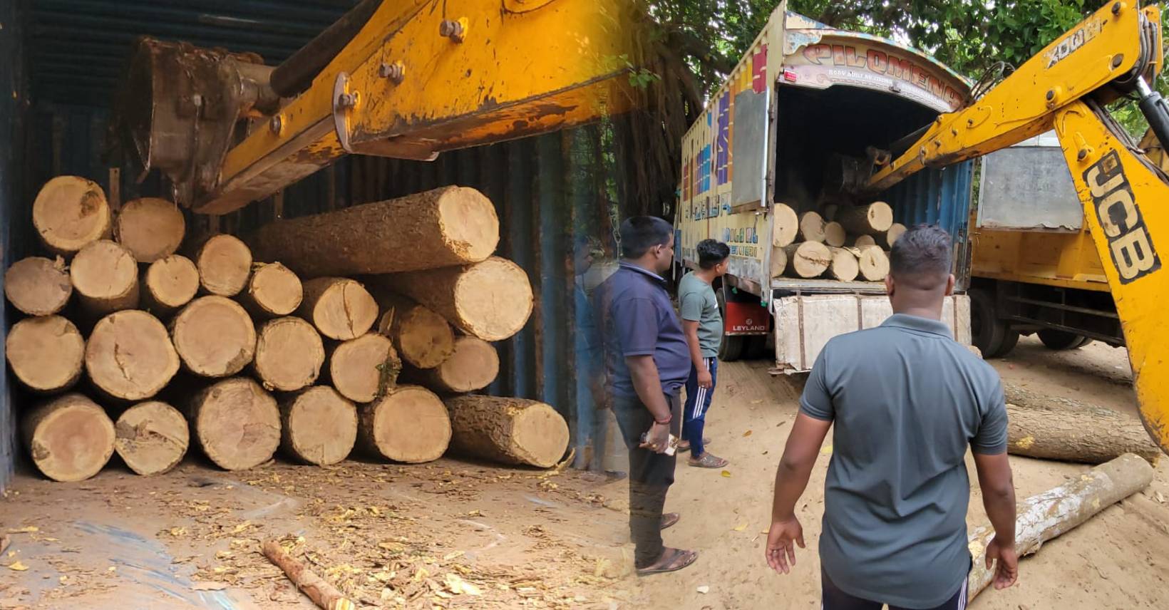 அனுமதியின்றி மரக்குற்றிகள் கடத்தல் ; சாரதி கைது
