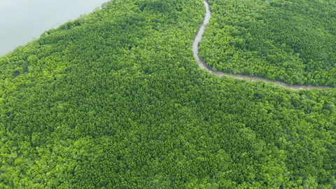 காடழிப்பில் ஈடுபடுபவர்களை கண்காணிக்க ட்ரோன்கள்